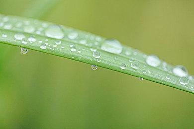 《极品飞车》新作将于2022年9月或10月发售